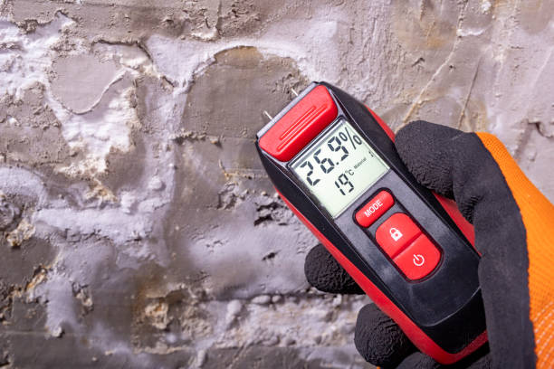 Best Post-Flood Mold Remediation in Mount Pulaski, IL