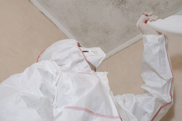 Best HVAC Mold Remediation in Mount Pulaski, IL